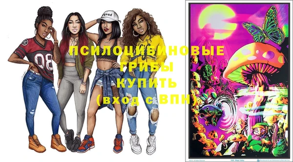 герыч Мегион