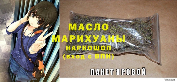 прущий лед Михайлов