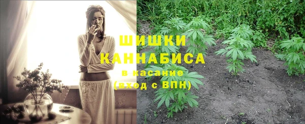 первитин Медвежьегорск