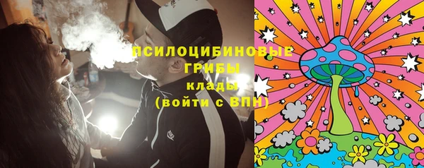 прущий лед Михайлов