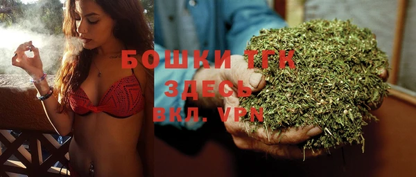 герыч Мегион