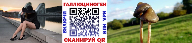 Псилоцибиновые грибы Psilocybe  Салават 