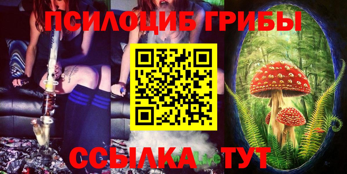 Салават  Псилоцибиновые грибы Cubensis  Вход с VPN  Псилоцибиновые грибы ЛСД 